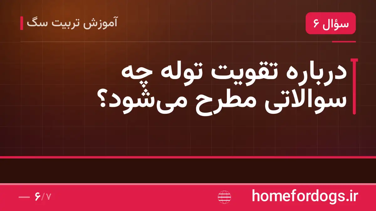 درباره تقویت توله چه سوالاتی مطرح میشود؟