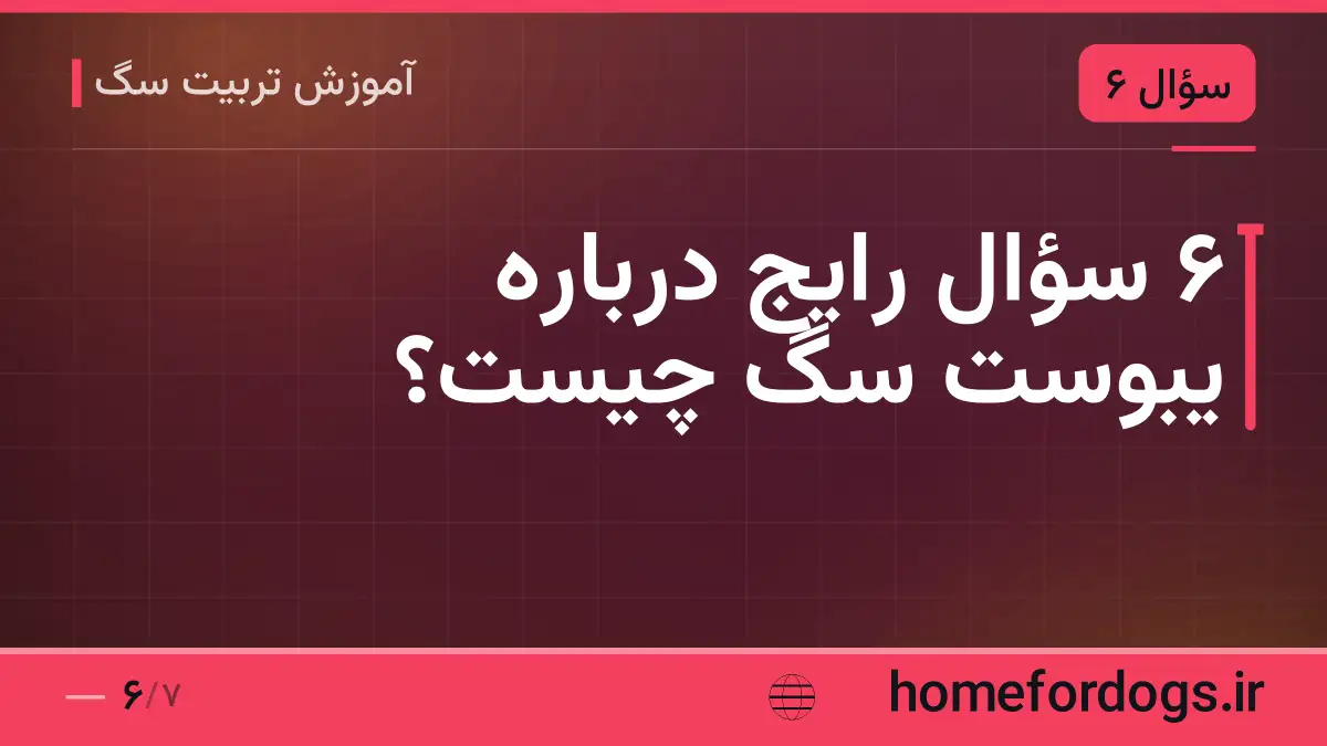 ۶ سؤال رایج درباره یبوست سگ چیست؟