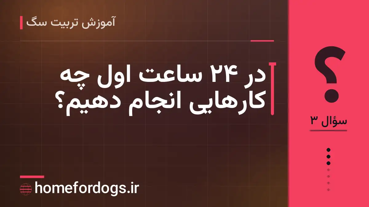 در ۲۴ ساعت اول چه کارهایی انجام دهیم؟