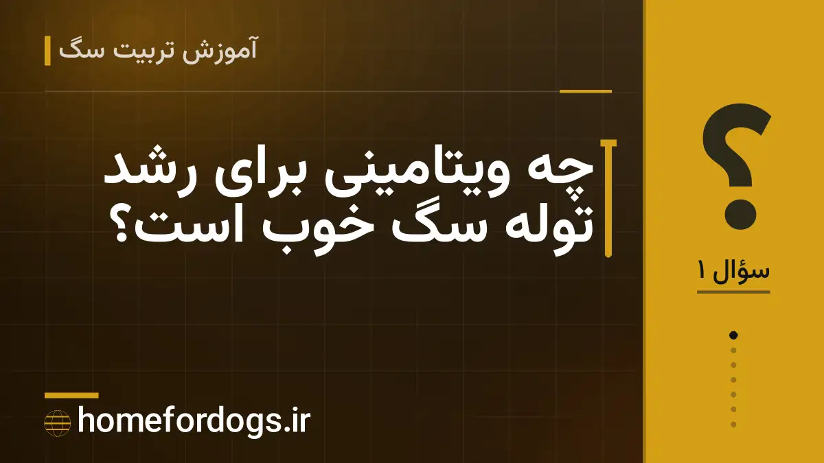 چه ویتامینی برای رشد توله سگ خوب است؟