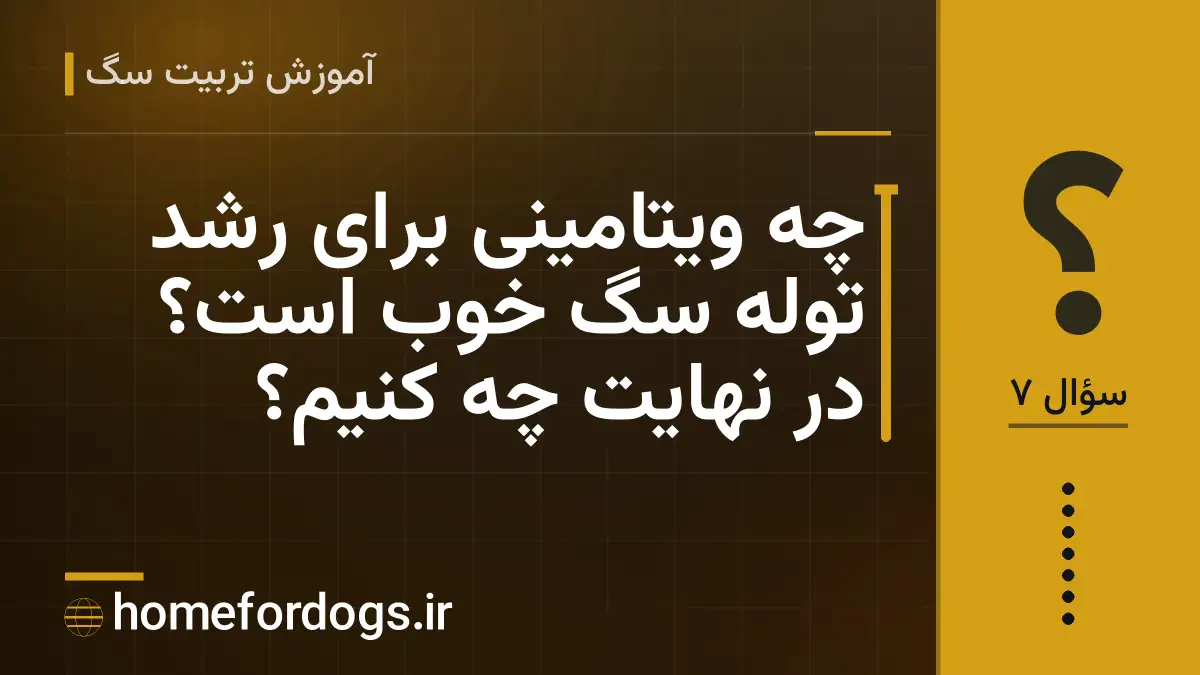 چه ویتامینی برای رشد توله سگ خوب است؟ در نهایت چه کنیم؟