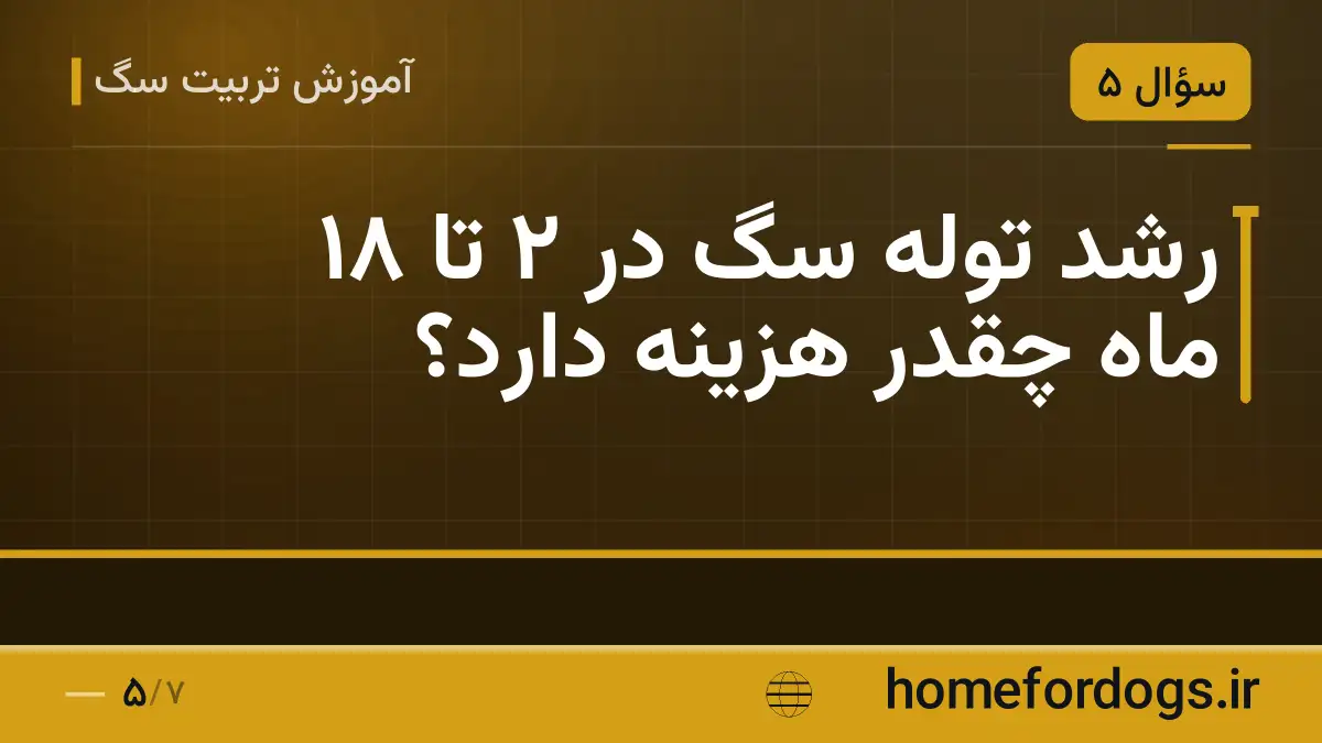 رشد توله سگ در ۲ تا ۱۸ ماه چقدر هزینه دارد؟