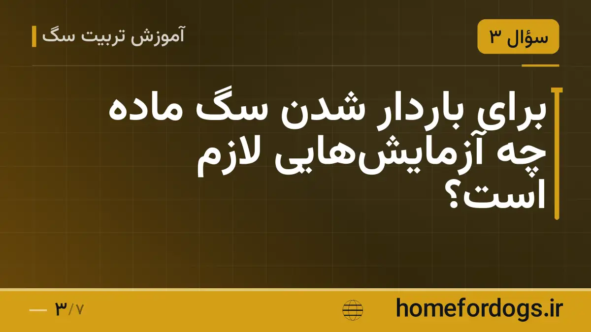 برای باردار شدن سگ ماده چه آزمایش‌هایی لازم است؟