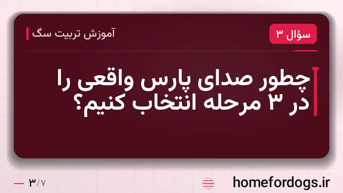 چطور صدای پارس واقعی را در ۳ مرحله انتخاب کنیم؟