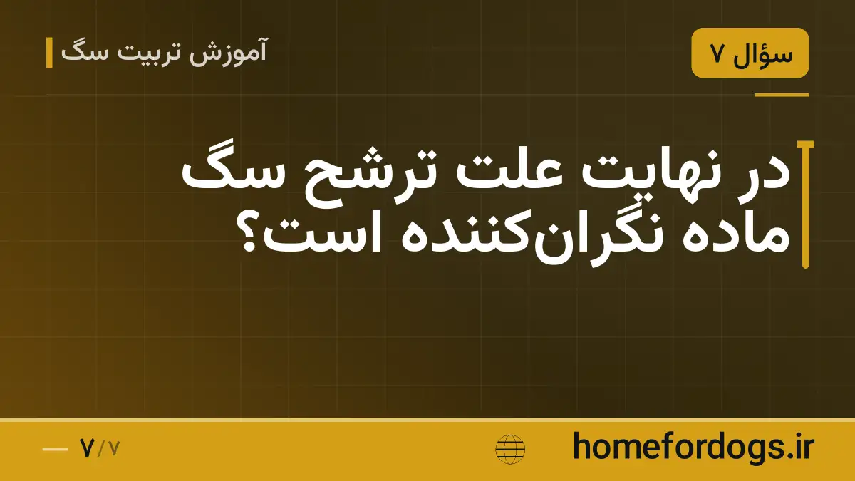 در نهایت علت ترشح سگ ماده نگرانکننده است؟