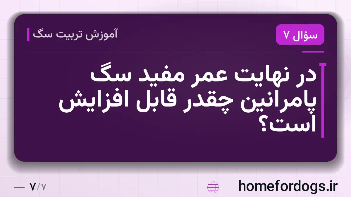 در نهایت عمر مفید سگ پامرانین چقدر قابل افزایش است؟