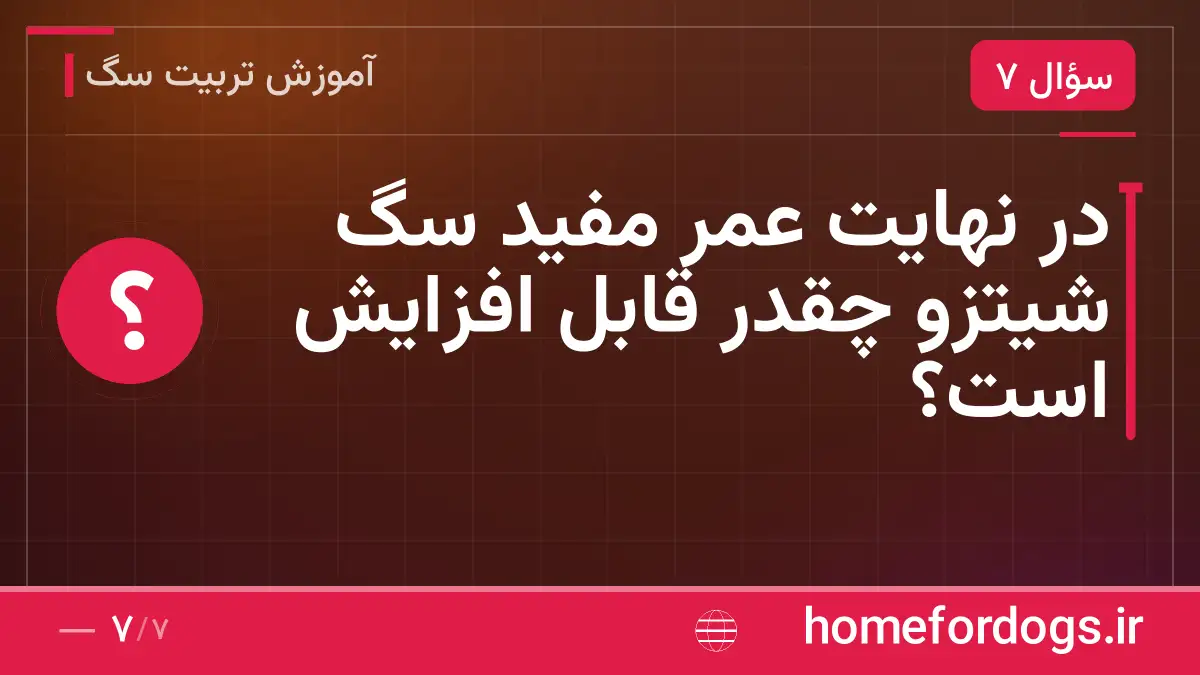 در نهایت عمر مفید سگ شیتزو چقدر قابل افزایش است؟