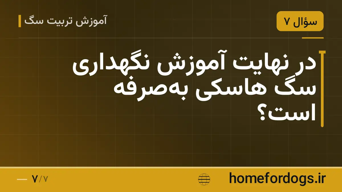 در نهایت آموزش نگهداری سگ هاسکی به‌صرفه است؟