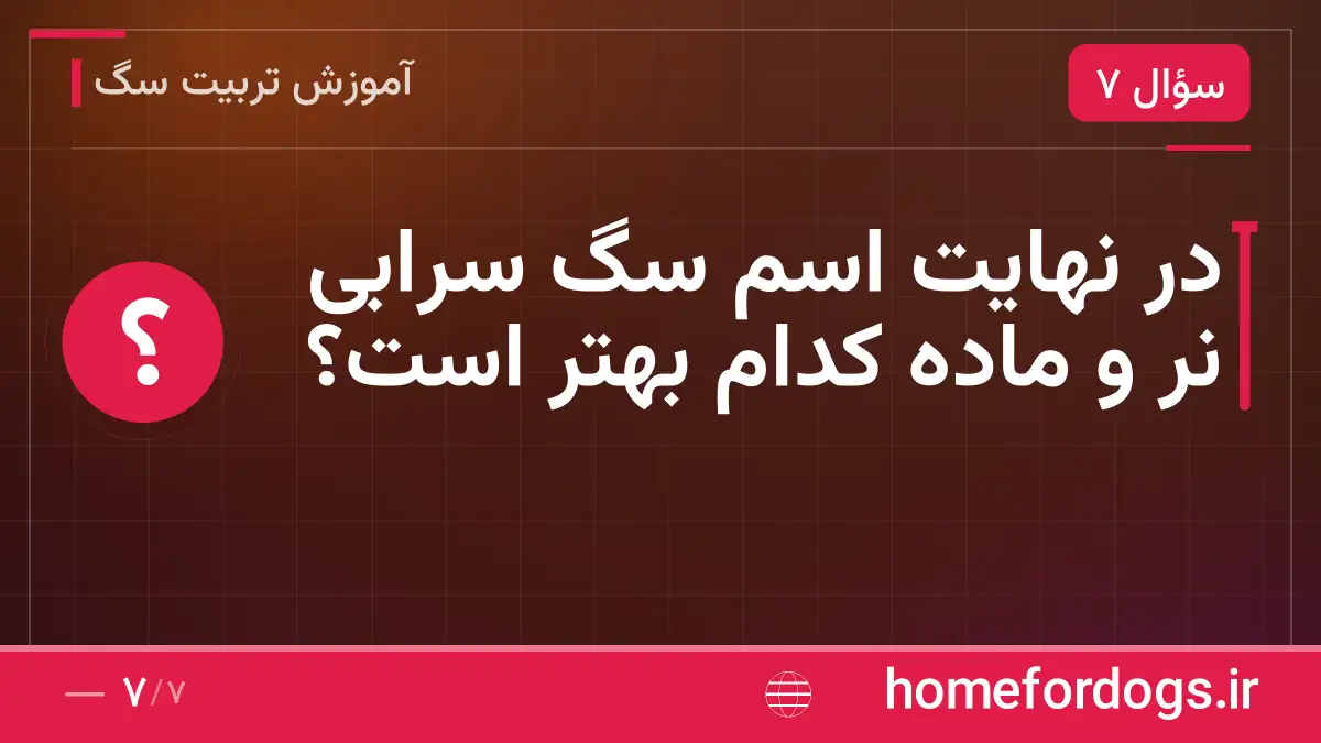 در نهایت اسم سگ سرابی نر و ماده کدام بهتر است؟