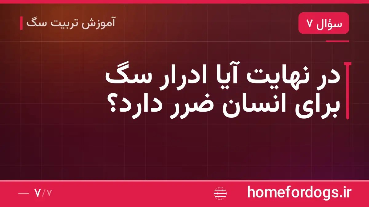 در نهایت آیا ادرار سگ برای انسان ضرر دارد؟