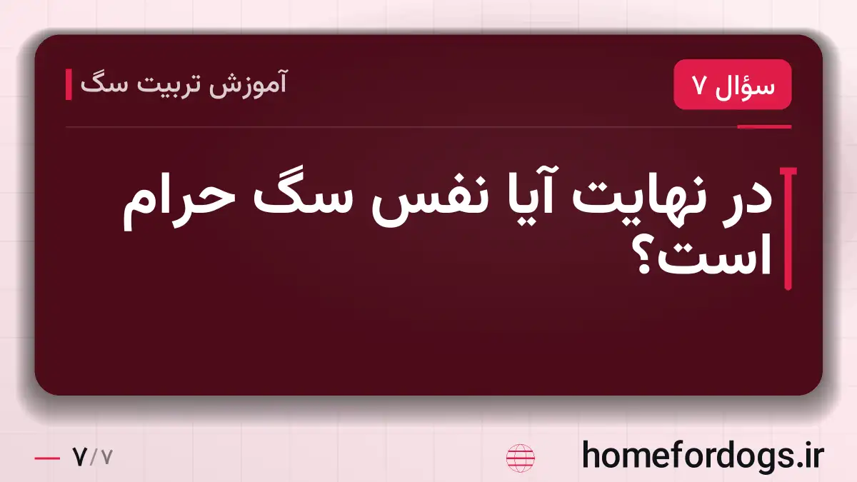 در نهایت آیا نفس سگ حرام است؟