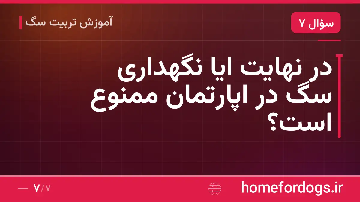 در نهایت ایا نگهداری سگ در اپارتمان ممنوع است؟