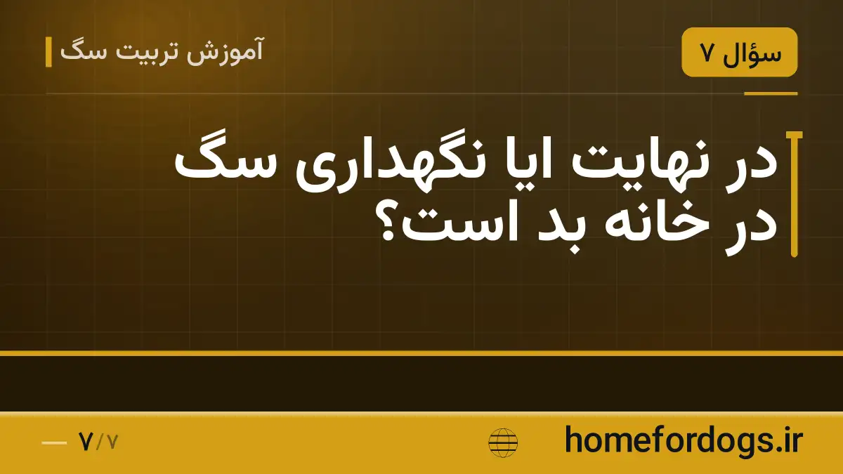 در نهایت ایا نگهداری سگ در خانه بد است؟