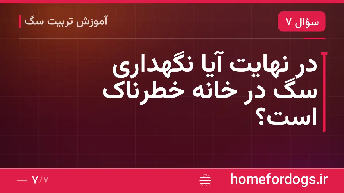 در نهایت آیا نگهداری سگ در خانه خطرناک است؟