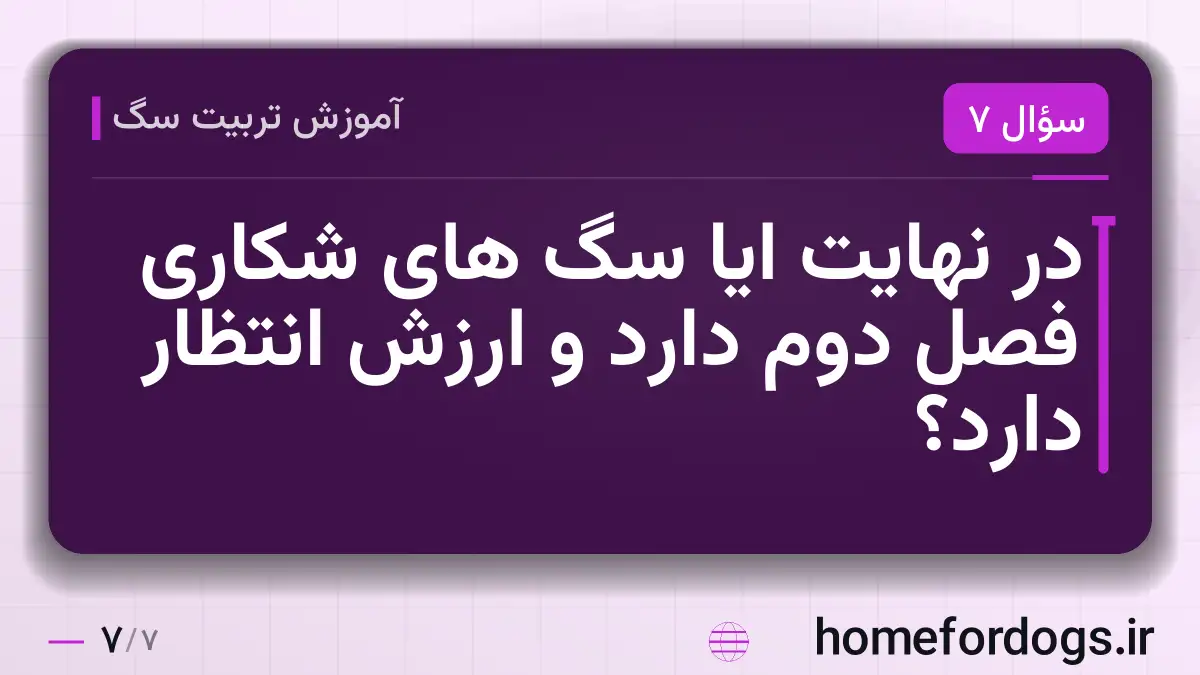 در نهایت ایا سگ های شکاری فصل دوم دارد و ارزش انتظار دارد؟