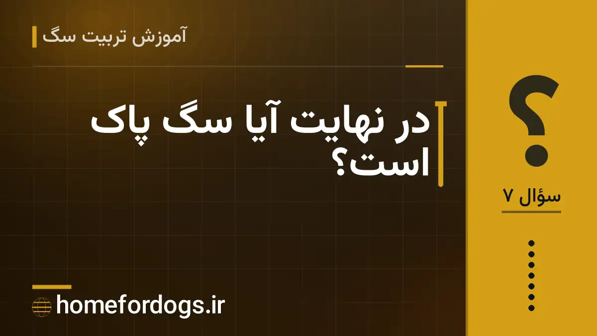 در نهایت آیا سگ پاک است؟