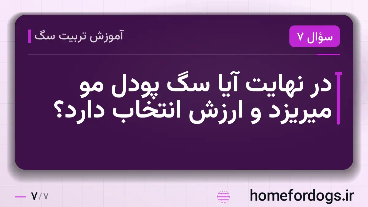 در نهایت آیا سگ پودل مو میریزد و ارزش انتخاب دارد؟