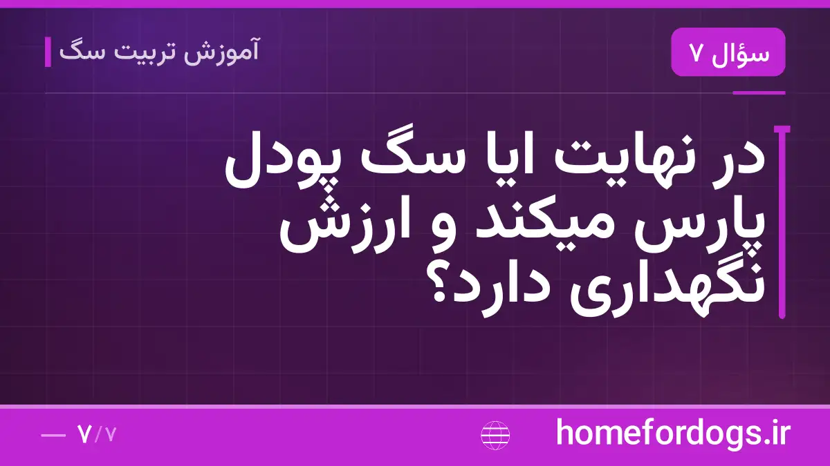 در نهایت ایا سگ پودل پارس میکند و ارزش نگهداری دارد؟