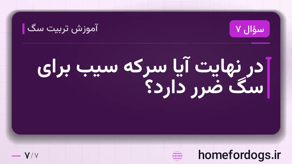 در نهایت آیا سرکه سیب برای سگ ضرر دارد؟