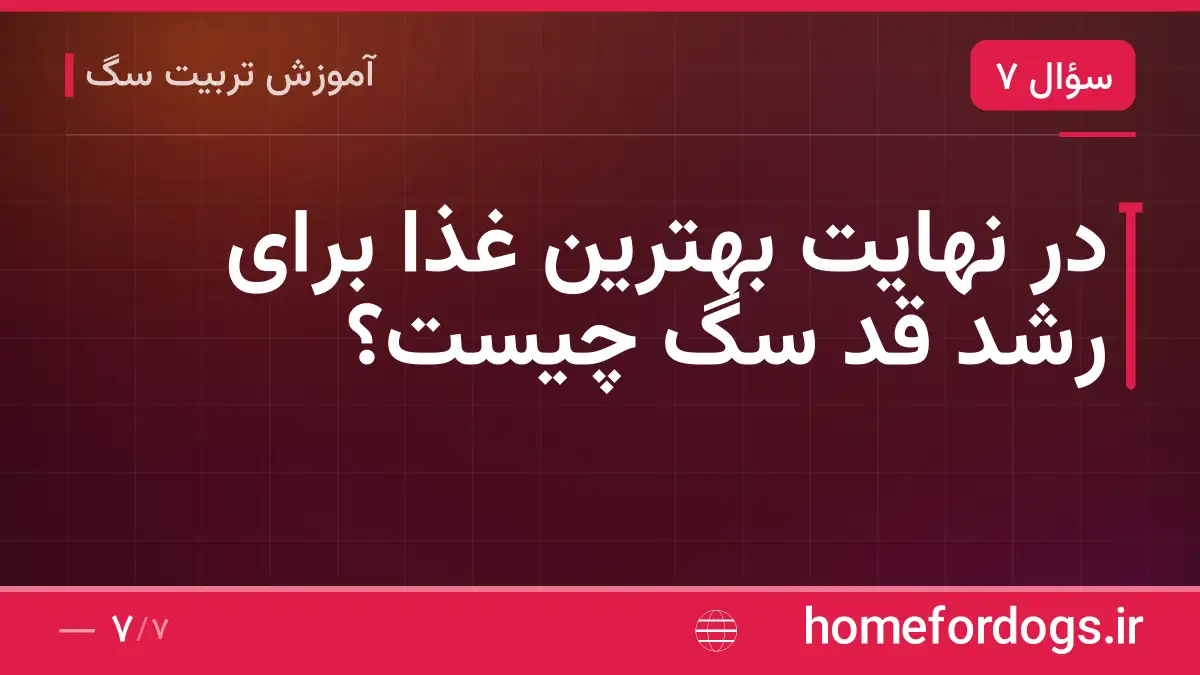 در نهایت بهترین غذا برای رشد قد سگ چیست؟