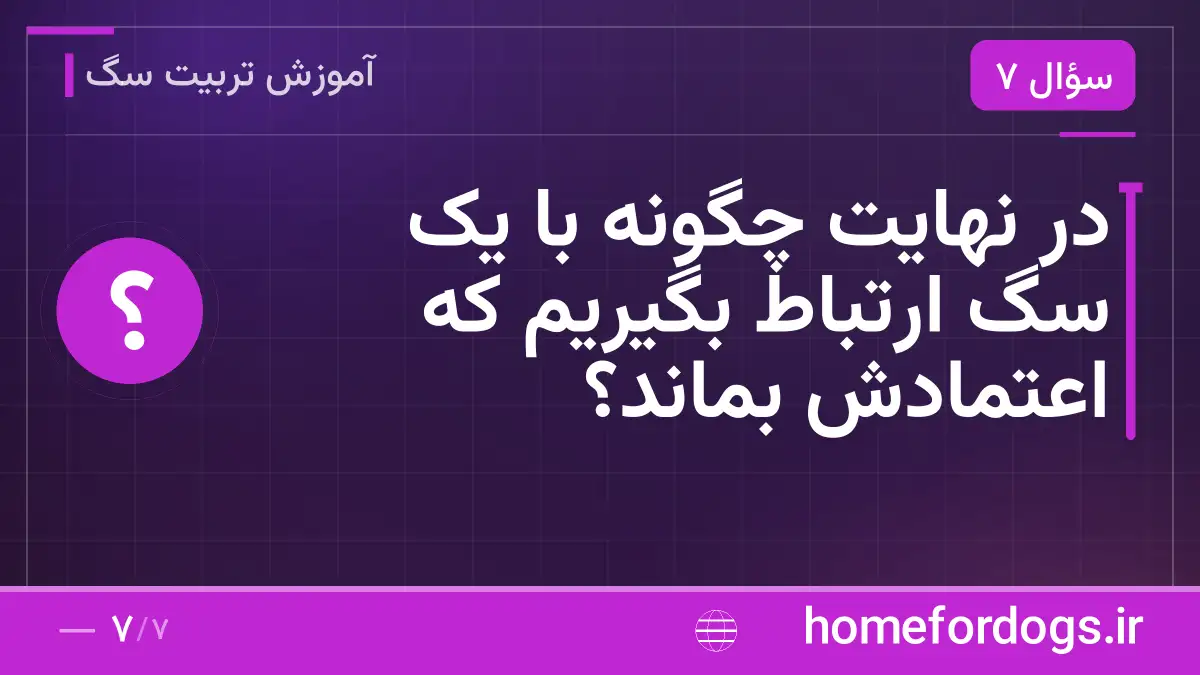 در نهایت چگونه با یک سگ ارتباط بگیریم که اعتمادش بماند؟