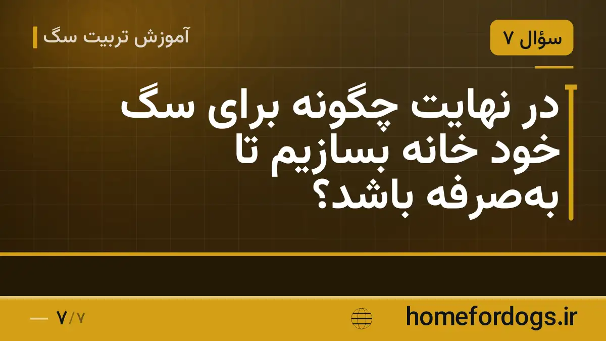 در نهایت چگونه برای سگ خود خانه بسازیم تا به‌صرفه باشد؟