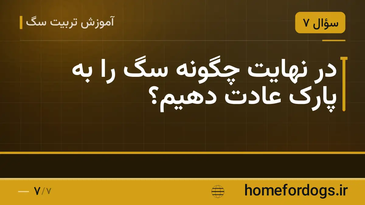 در نهایت چگونه سگ را به پارک عادت دهیم؟