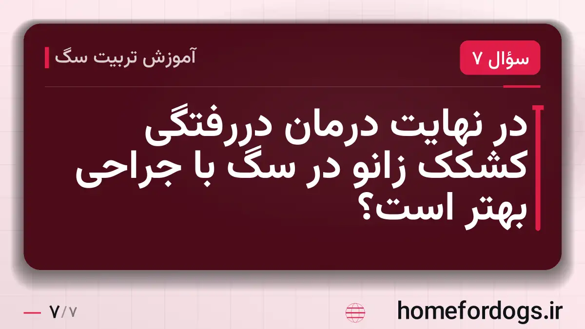 در نهایت درمان دررفتگی کشکک زانو در سگ با جراحی بهتر است؟