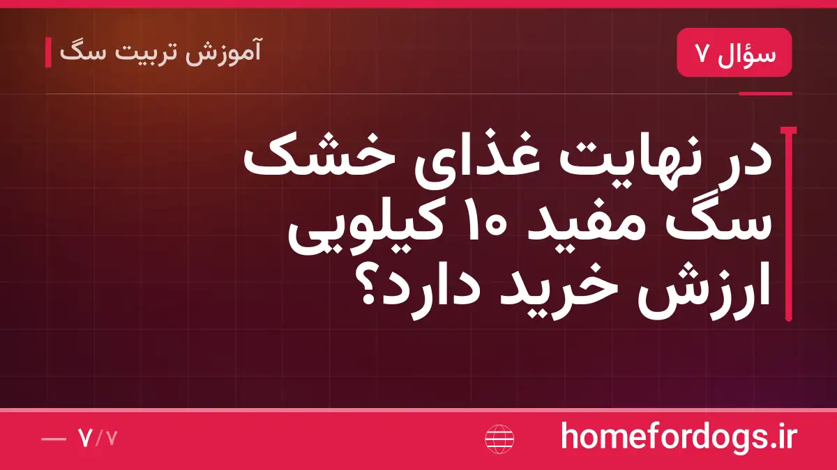 در نهایت غذای خشک سگ مفید ۱۰ کیلویی ارزش خرید دارد؟