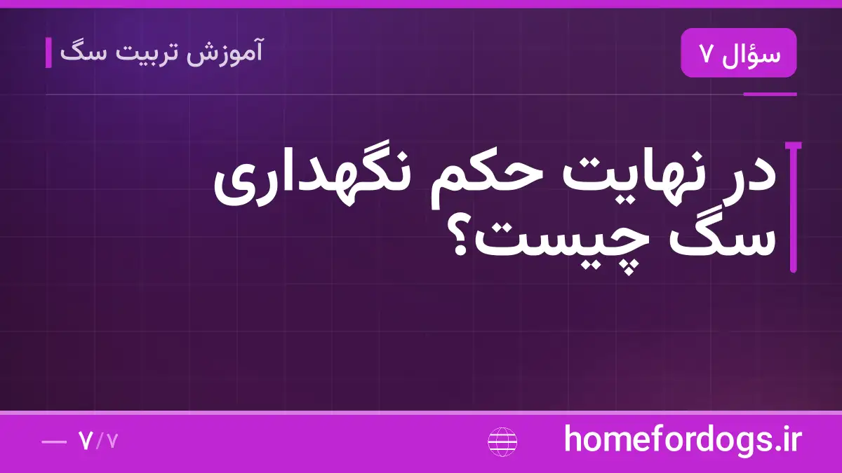 در نهایت حکم نگهداری سگ چیست؟
