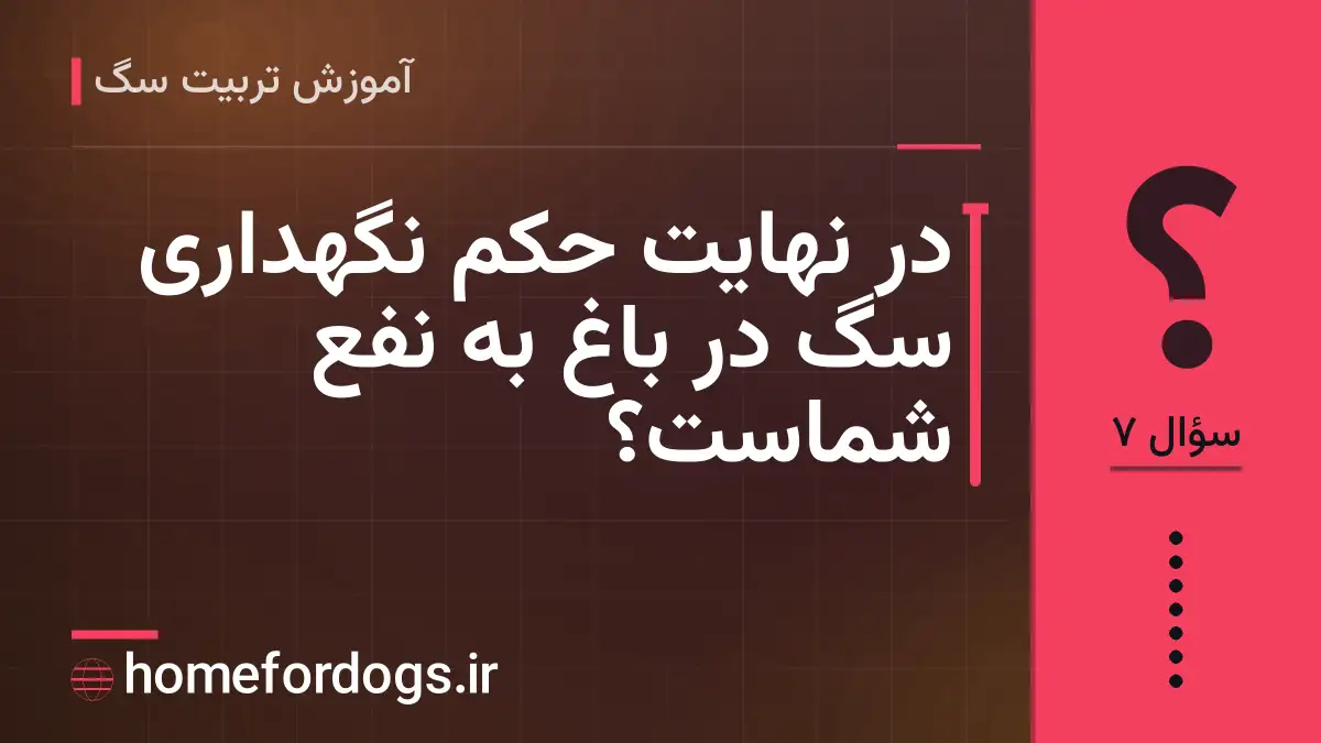 در نهایت حکم نگهداری سگ در باغ به نفع شماست؟
