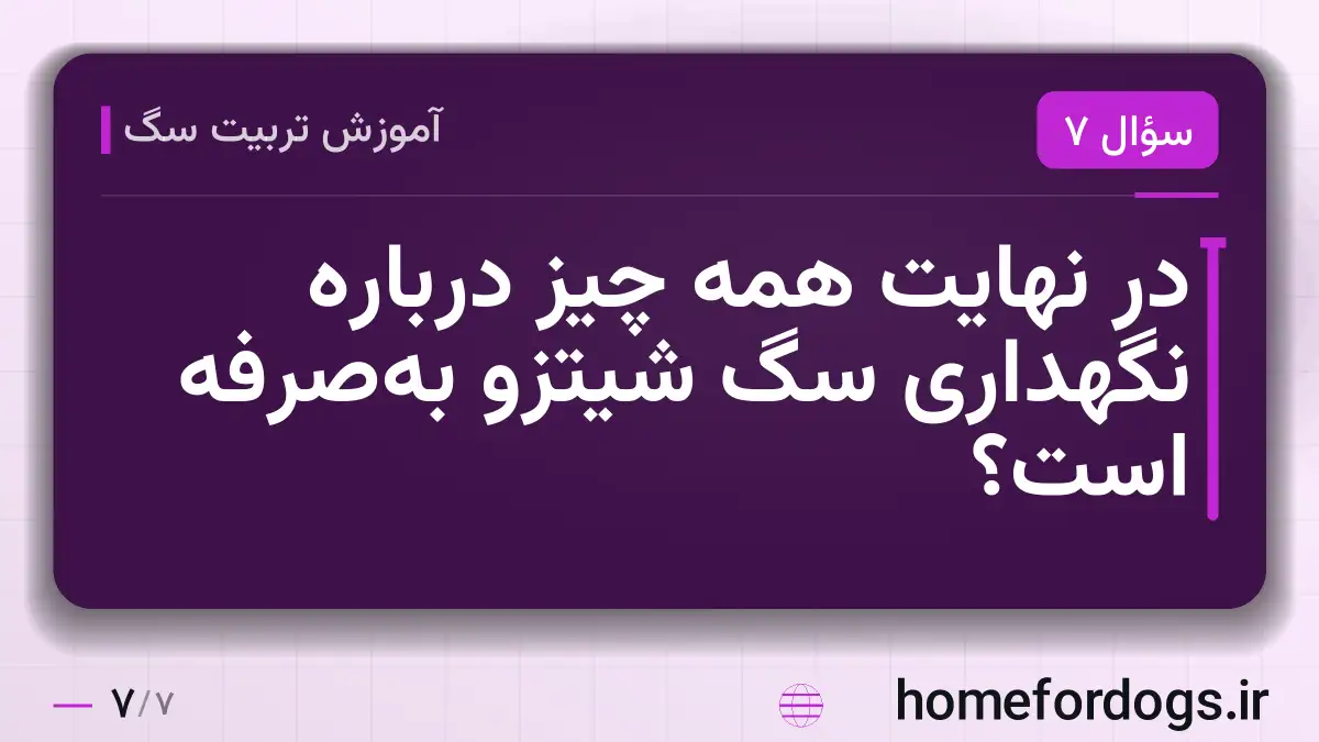 در نهایت همه چیز درباره نگهداری سگ شیتزو بهصرفه است؟