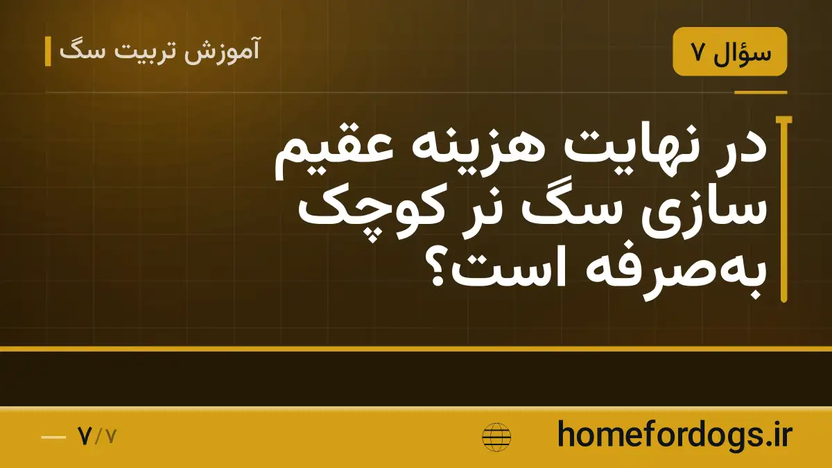 در نهایت هزینه عقیم سازی سگ نر کوچک به‌صرفه است؟