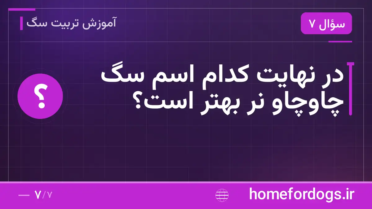 در نهایت کدام اسم سگ چاوچاو نر بهتر است؟