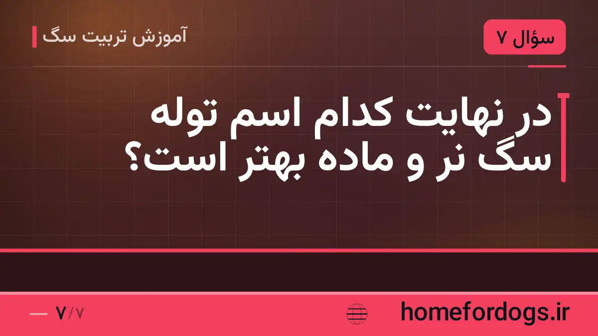 در نهایت کدام اسم توله سگ نر و ماده بهتر است؟