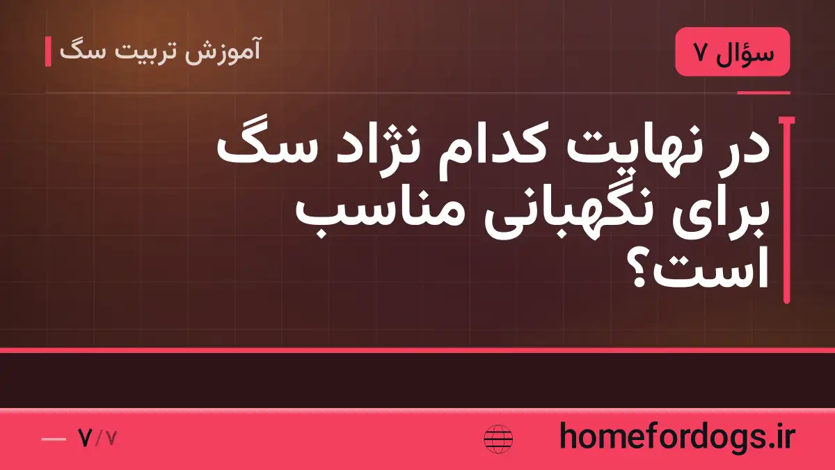 در نهایت کدام نژاد سگ برای نگهبانی مناسب است؟