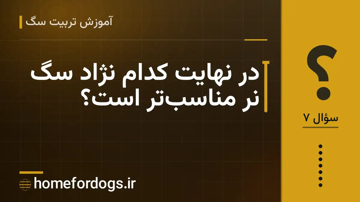 در نهایت کدام نژاد سگ نر مناسبتر است؟