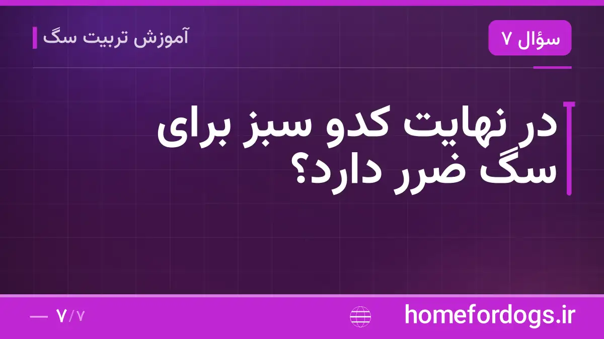 در نهایت کدو سبز برای سگ ضرر دارد؟