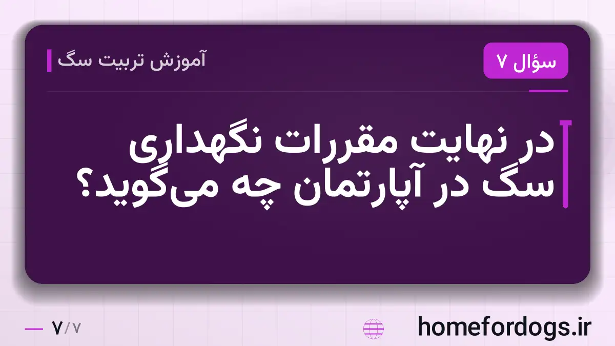 در نهایت مقررات نگهداری سگ در آپارتمان چه میگوید؟
