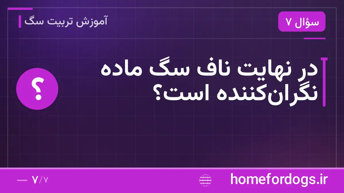 در نهایت ناف سگ ماده نگرانکننده است؟