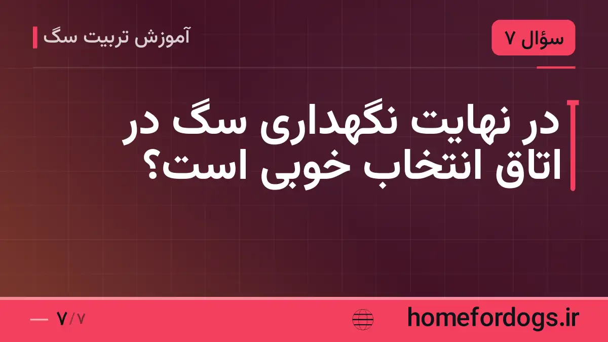 در نهایت نگهداری سگ در اتاق انتخاب خوبی است؟