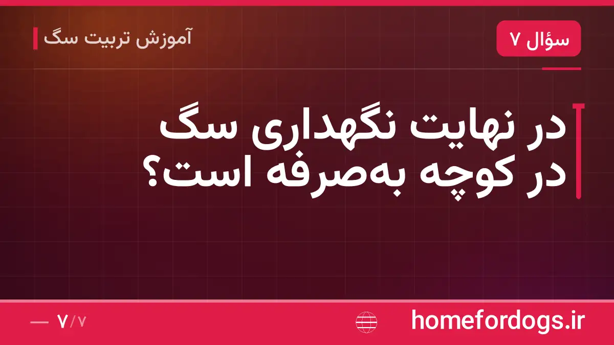 در نهایت نگهداری سگ در کوچه به‌صرفه است؟