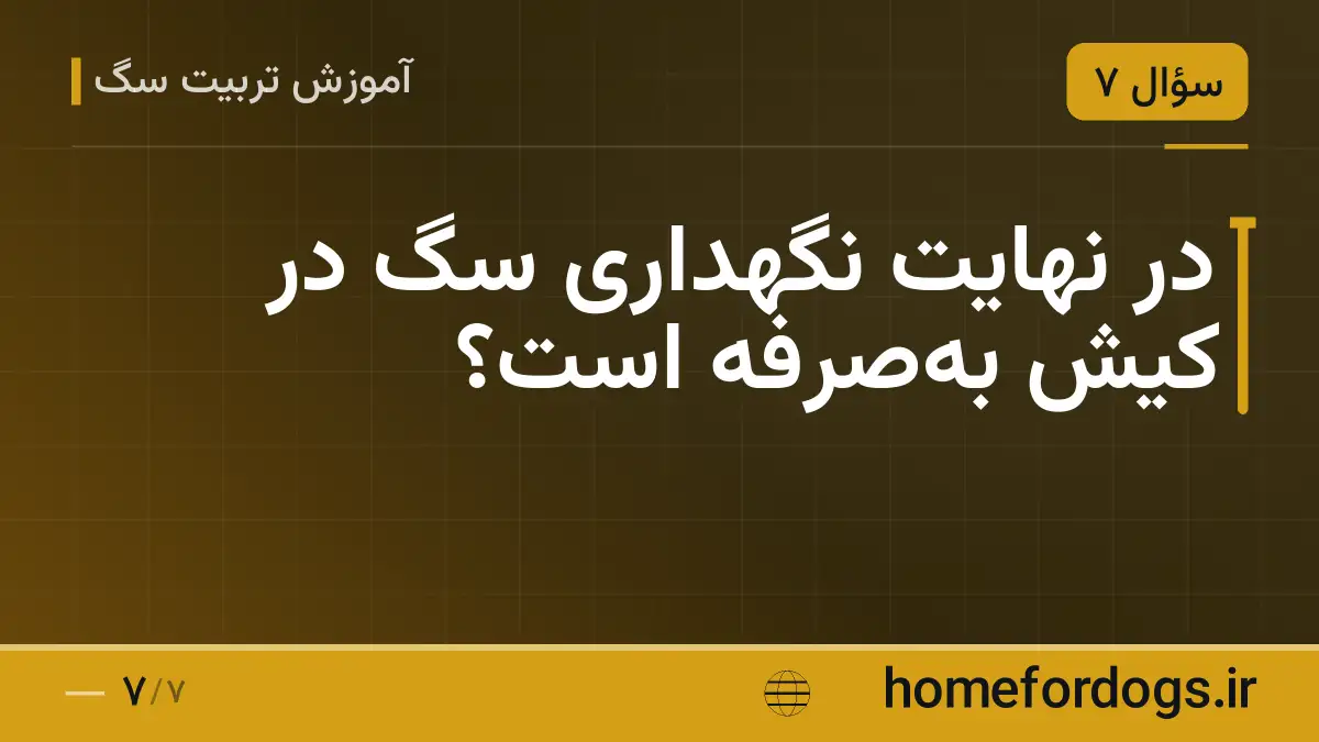 در نهایت نگهداری سگ در کیش به‌صرفه است؟