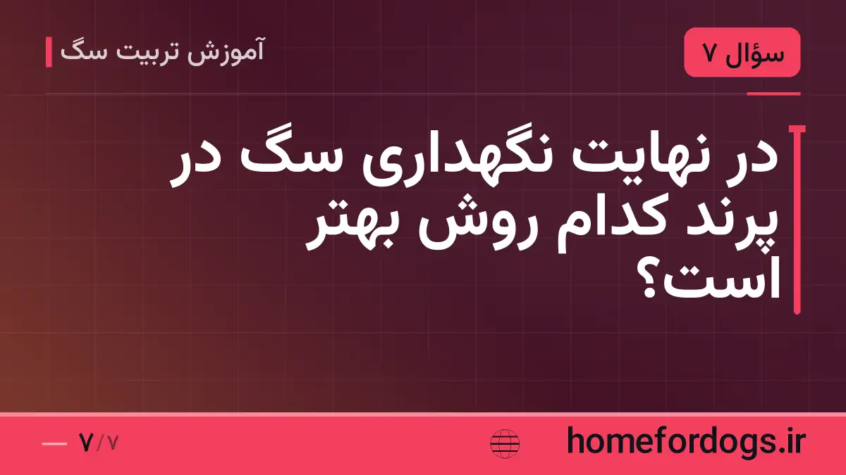 در نهایت نگهداری سگ در پرند کدام روش بهتر است؟