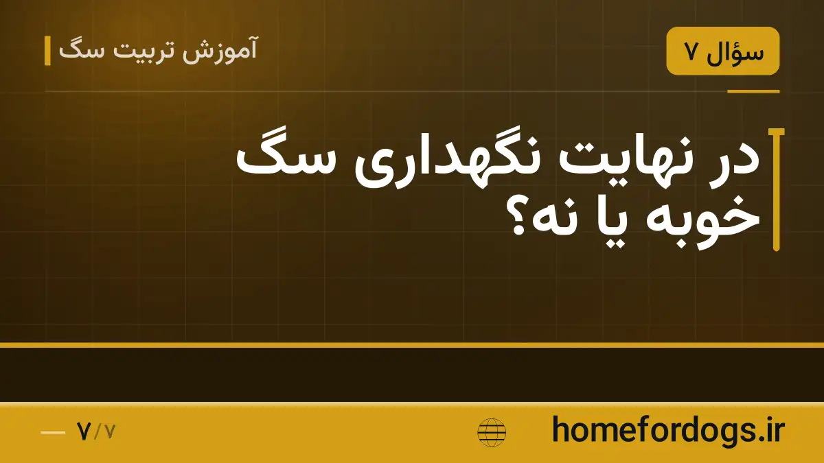 در نهایت نگهداری سگ خوبه یا نه؟