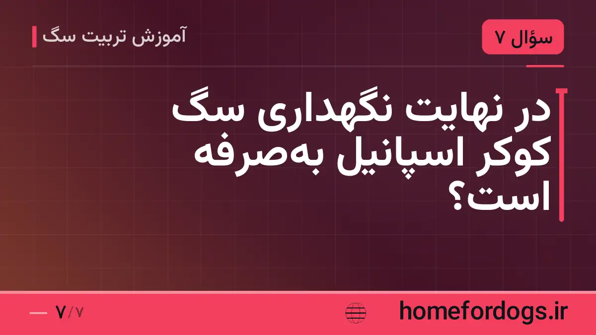در نهایت نگهداری سگ کوکر اسپانیل به‌صرفه است؟
