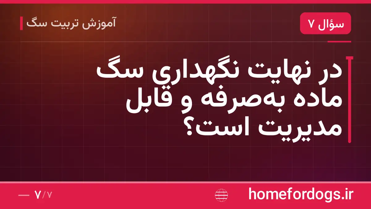 در نهایت نگهداری سگ ماده به‌صرفه و قابل مدیریت است؟