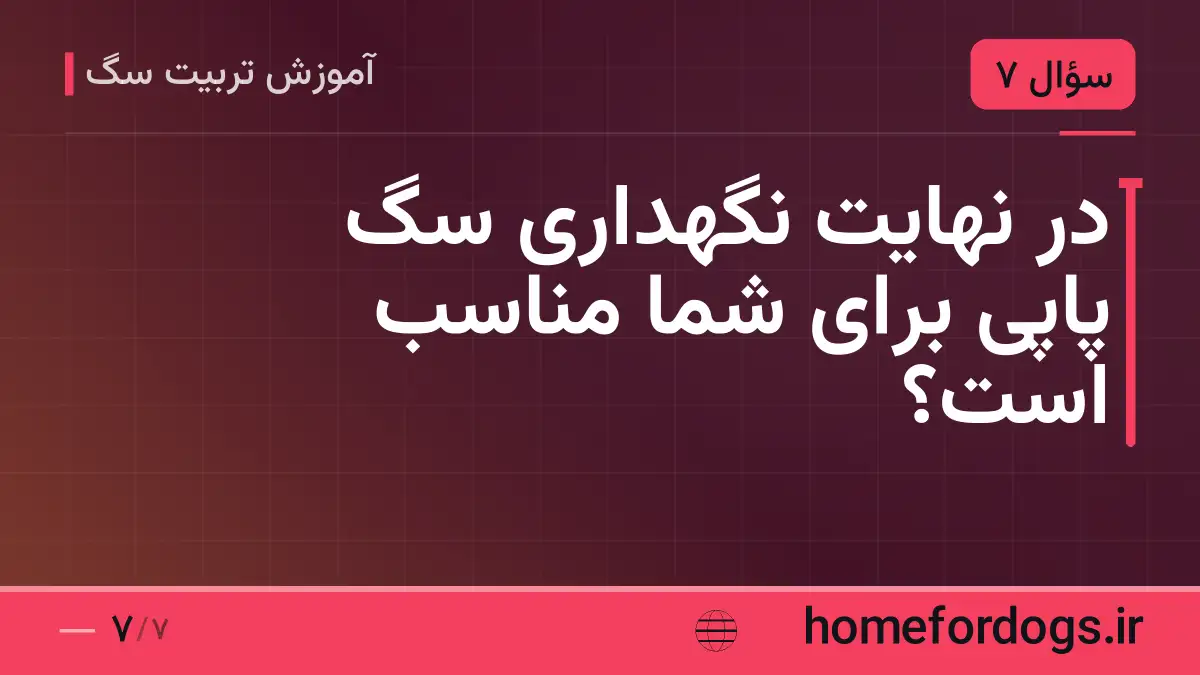 در نهایت نگهداری سگ پاپی برای شما مناسب است؟