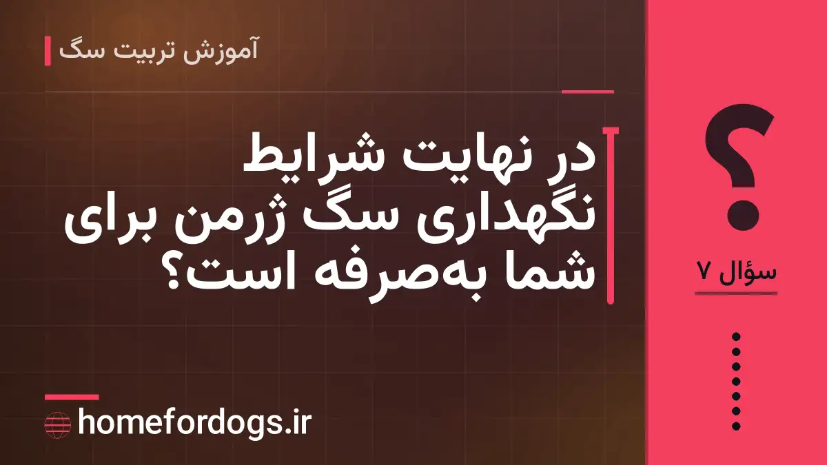 در نهایت شرایط نگهداری سگ ژرمن برای شما به‌صرفه است؟