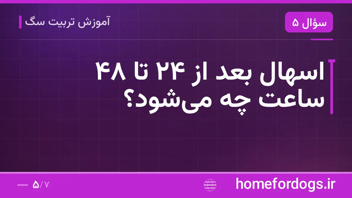 اسهال بعد از ۲۴ تا ۴۸ ساعت چه می‌شود؟